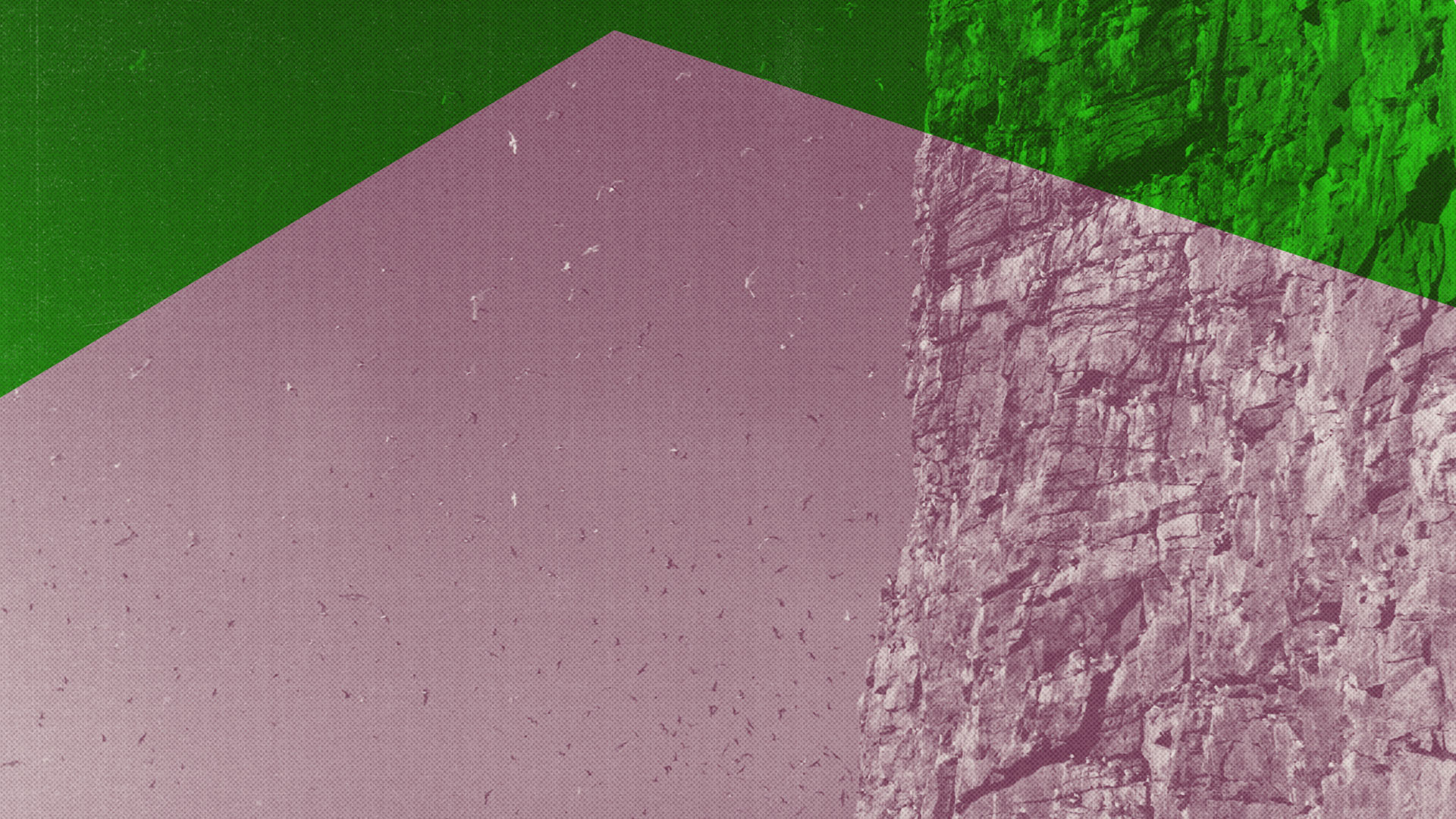 Åpningsforestilling: Vedøya – Klagesanger til fuglefjellet som mista stemmen / Arme låddebávtijda ma lij sjávvunam