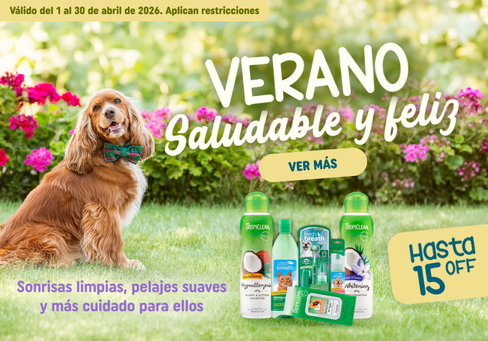 zignature - energía real para su día a día