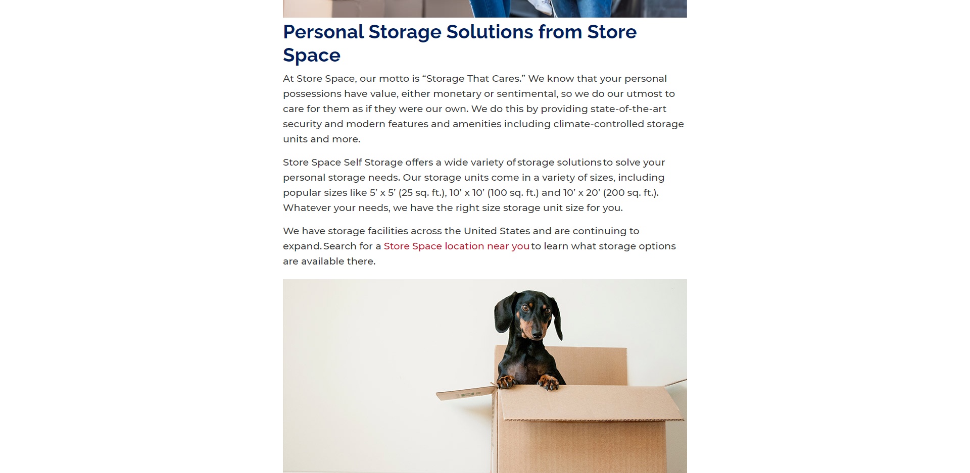 Store Space Self Storage product / service