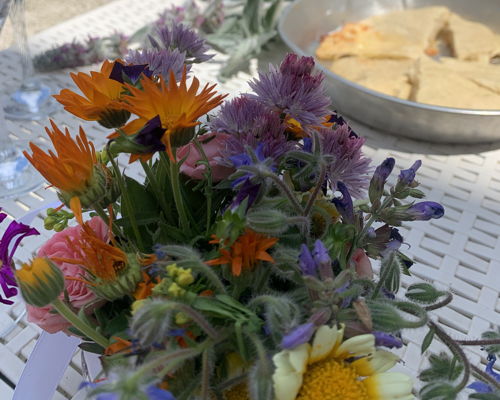 Food & Wine Tours Cremona: From Harvest to Table: The Magic of Cooking