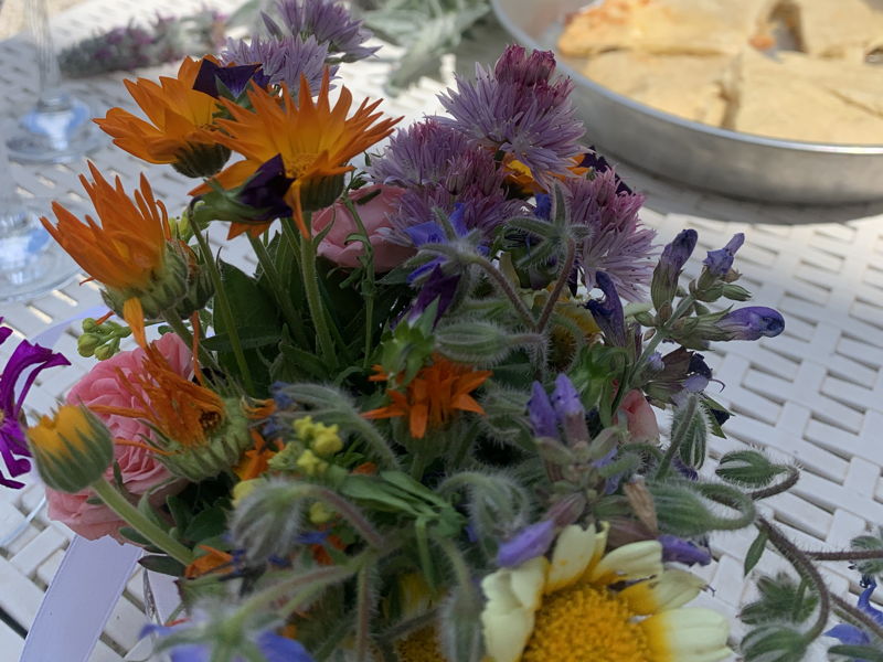 Food & Wine Tours Cremona: From Harvest to Table: The Magic of Cooking