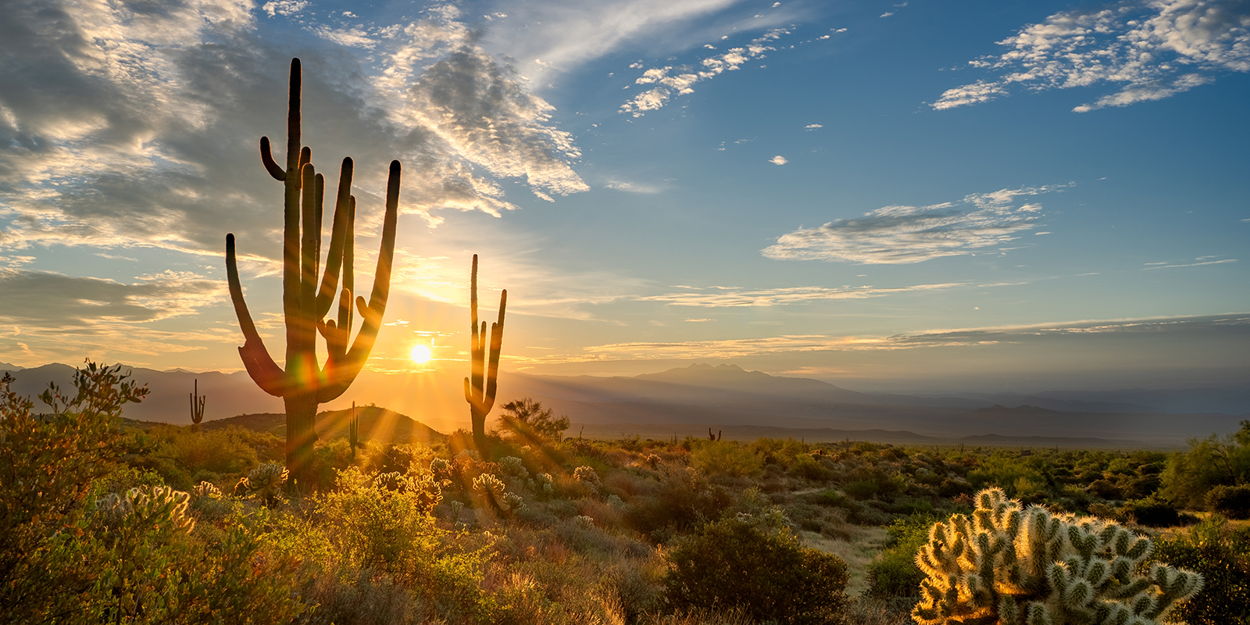 Scottsdale at sunrise