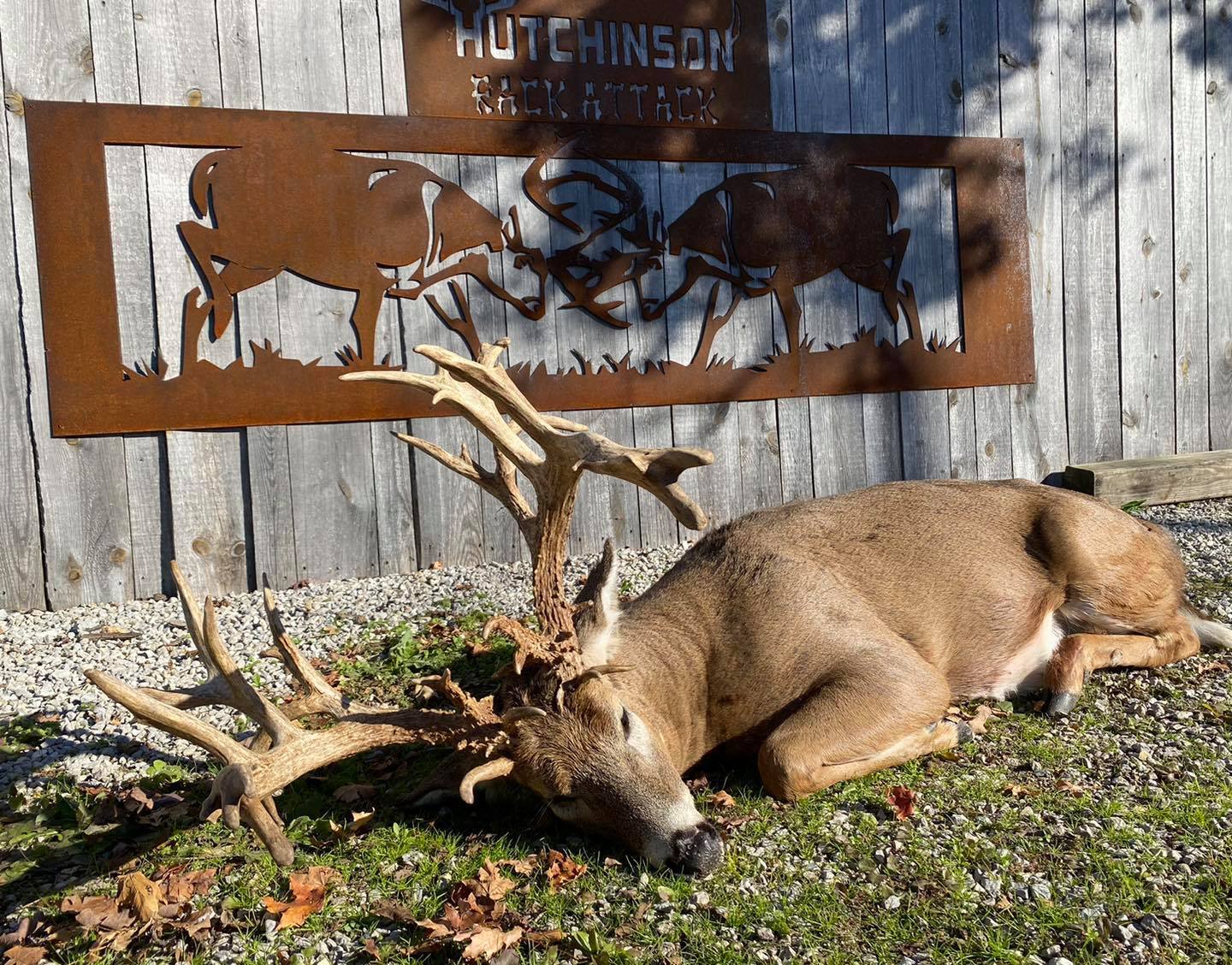 Hutchinson Rack Attack - Book Your Trip - Mallard Bay