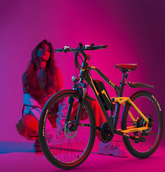 Electric Bikes on EMI EMotorad