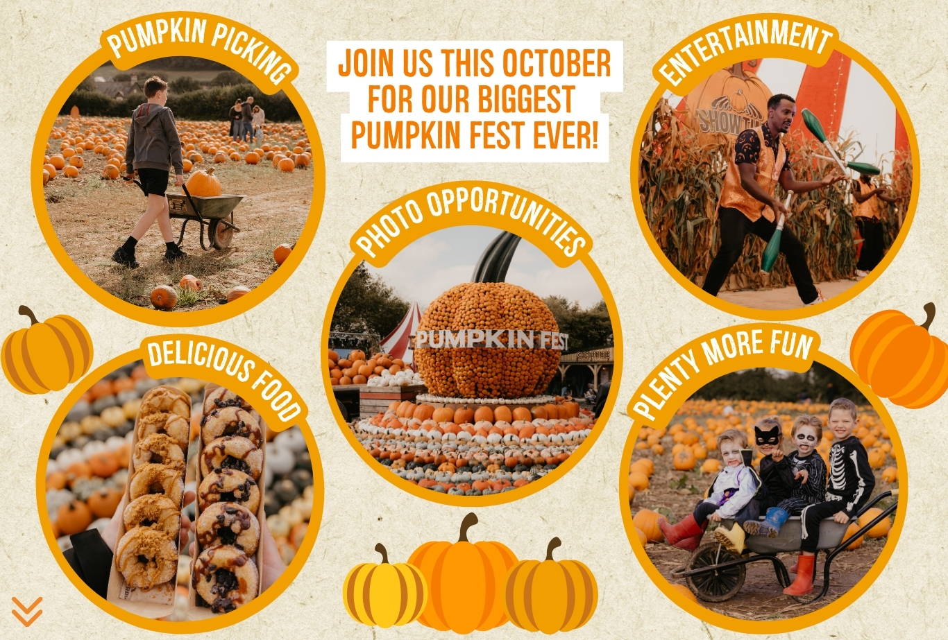 Discover the biggest and best pumpkin festival in Devon & Cornwall, and South West! Pumpkin Fest at Strawberry Fields is the ultimate family day out with a huge pumpkin patch, pumpkin picking, maize maze, barrel train rides, photo spots, tasty autumn treats & fun for all ages. Book now!