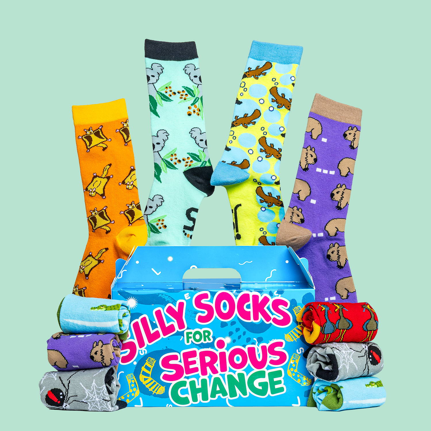 Jolly Soles Sock Fundraiser Boxes