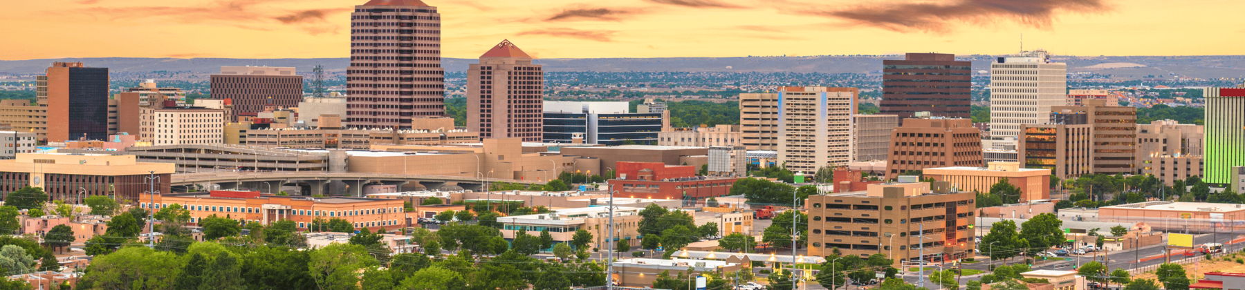 New Mexico skyline