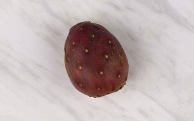 Organic Cold-Pressed Prickly Pear Seed Oil