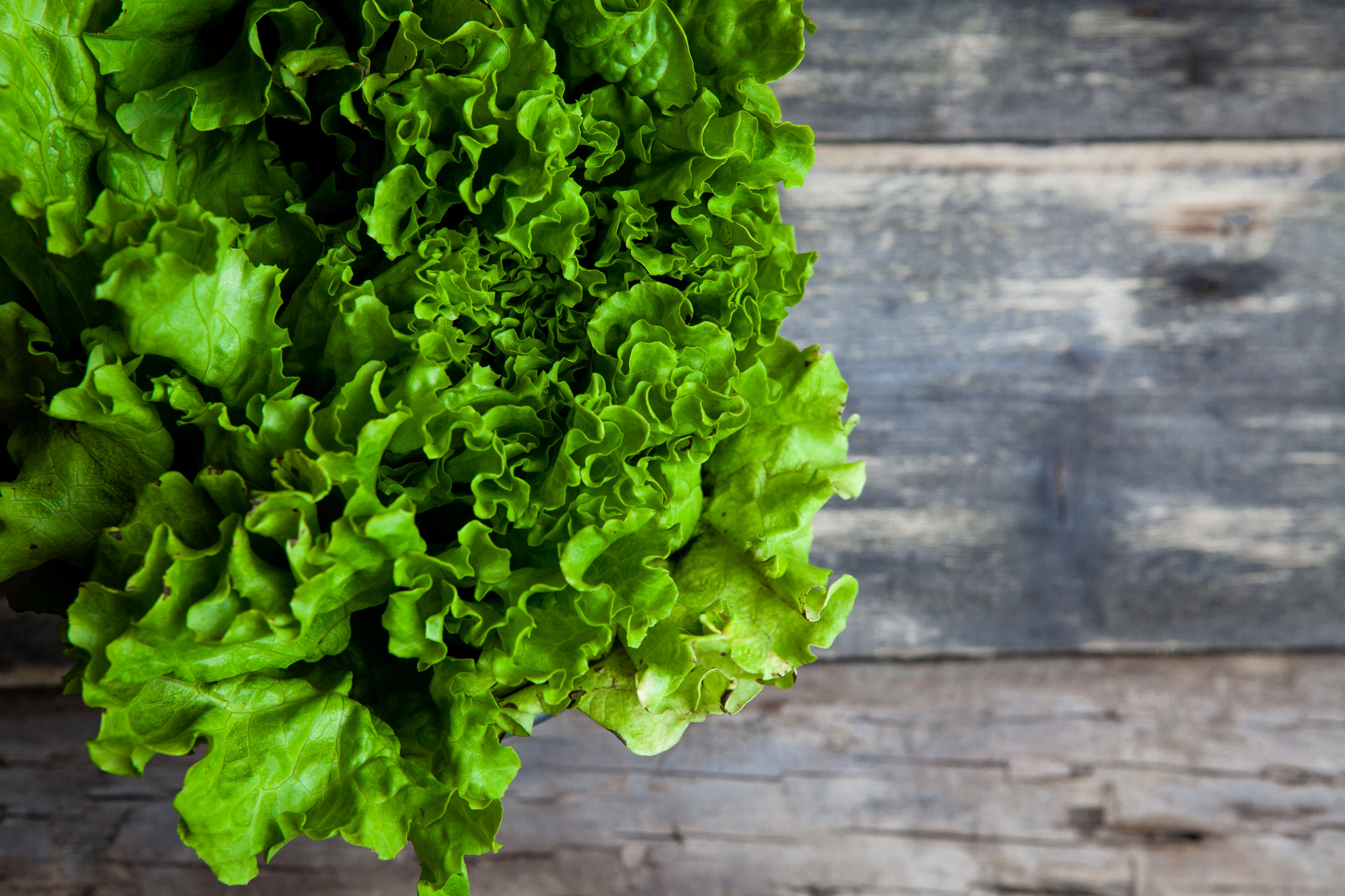 A bright green head of lettuce on a wooden background