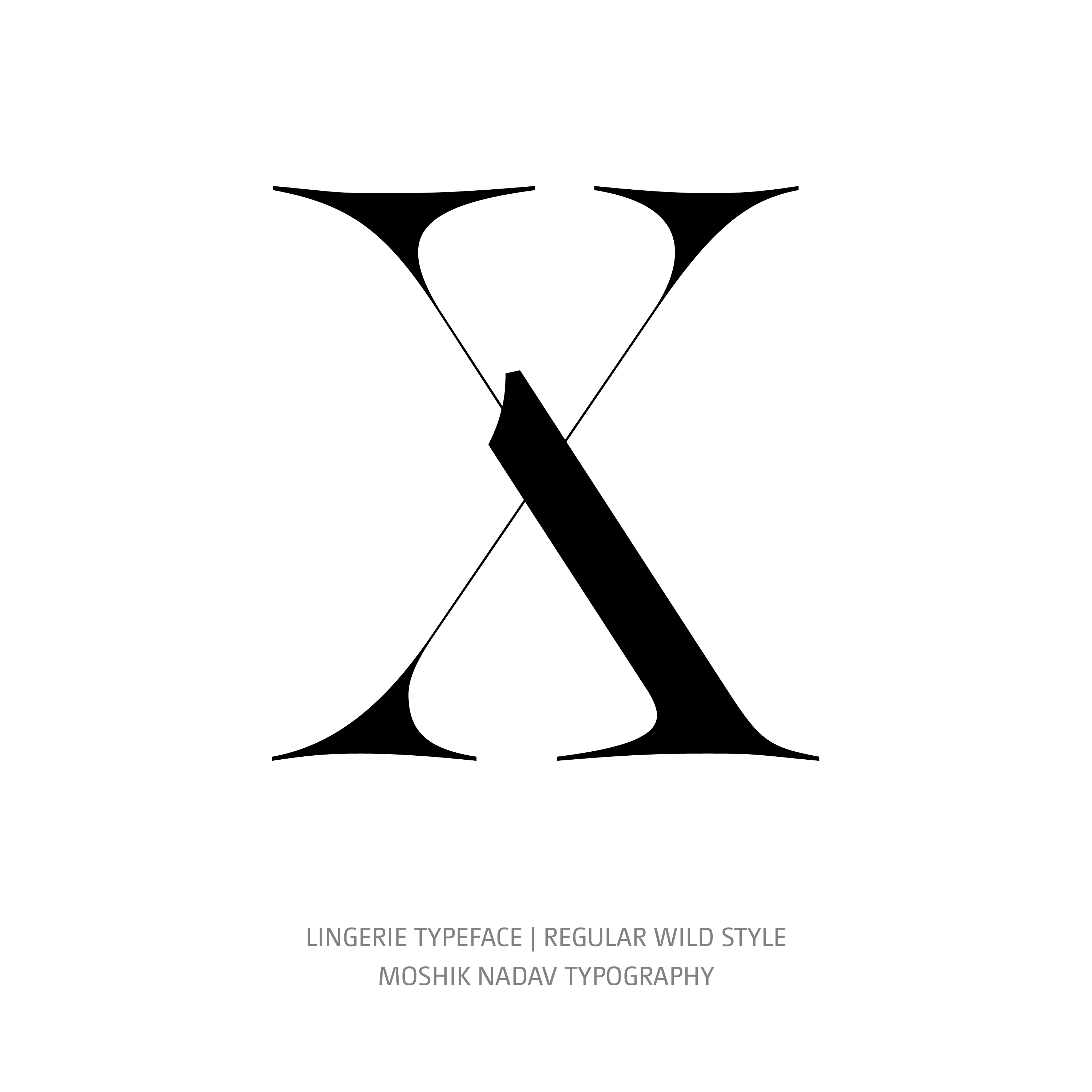 Lingerie Typeface Regular Wild X