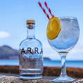 Bouteille d'Arran Gin avec verre de cocktail de la distillerie Isle of Arran Gin sur l'île d'Arran au sud de l'Ecosse