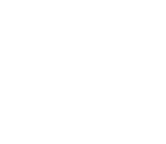 Pertex Logo