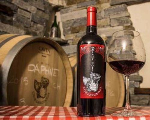 Food & Wine Tours Jovencan: Local Producers Tour on E-Bikes
