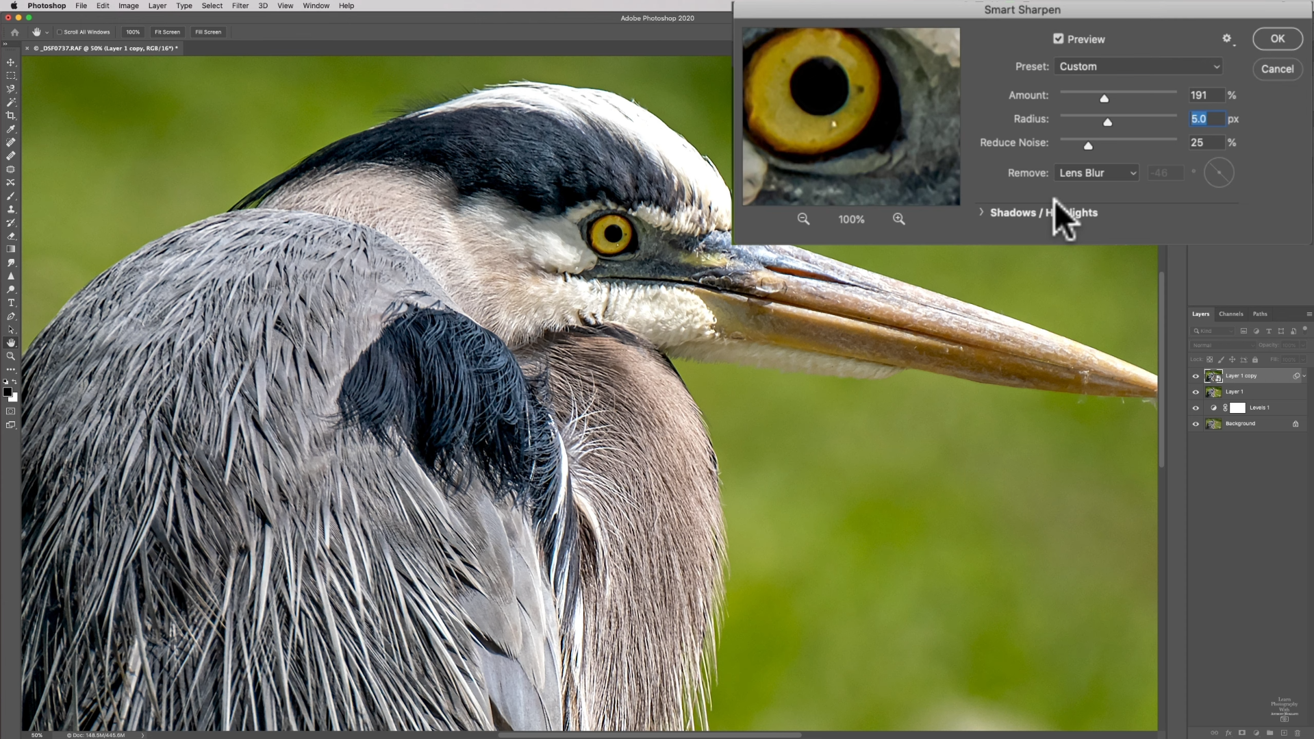 A photo of a bird opened in Photoshop, “Smart Sharpen” is active