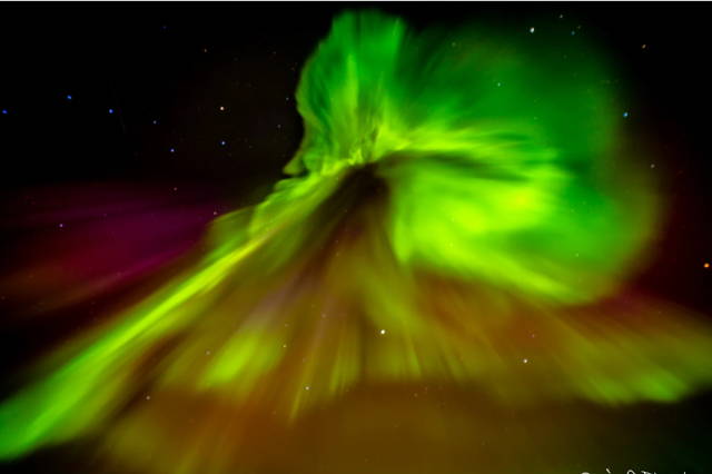 Photo Safari with Panoramic View