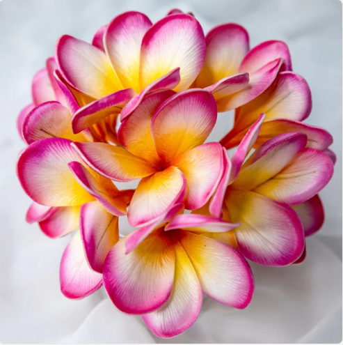 Sunset Pink Frangipani Flowerhead (6 Pack) - Realistic Artificial Flowers - Image 5