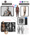 3D model previews of tattoos on different body parts, available in various skin tones and sizes.