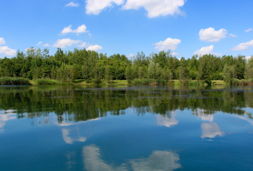 ab ans ufer seeblick in der natur
