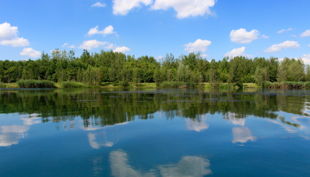 ab ans ufer seeblick in der natur