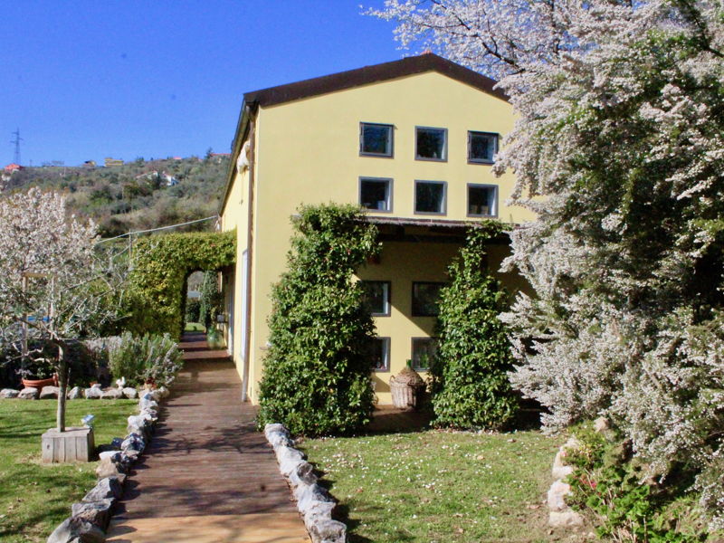 Cooking classes Vezzano Ligure: Cooking class: the traditions of La Spezia and the 5 terre