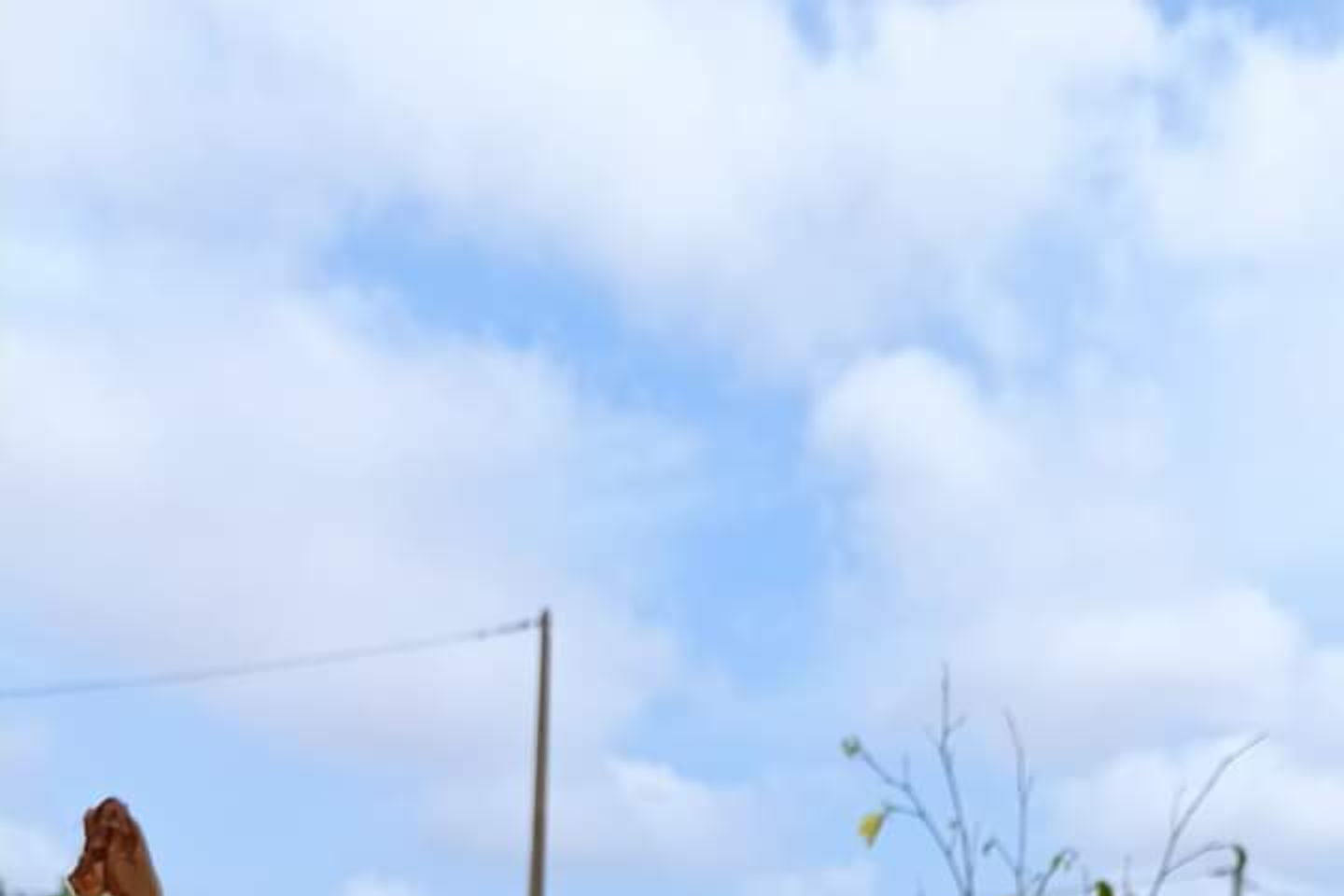 slider-image