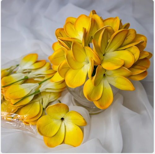 Tahitian Gold Frangipani Flowerhead (6 Pack) -Realistic Artificial Flowers - Image 4