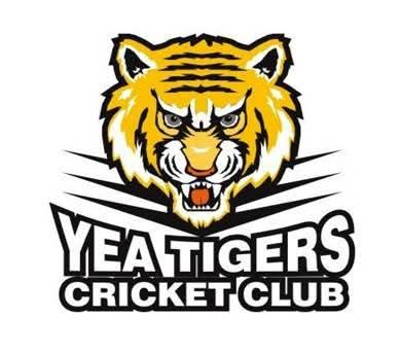 Yea Tigers Cricket Club Cricket Club Logo