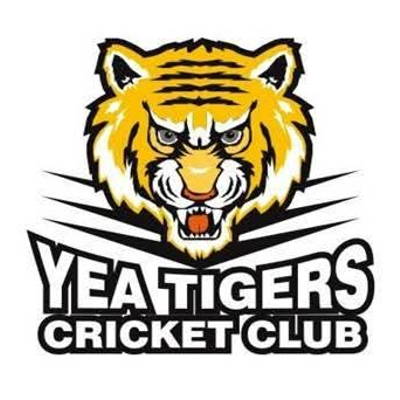 Yea Tigers Cricket Club Logo