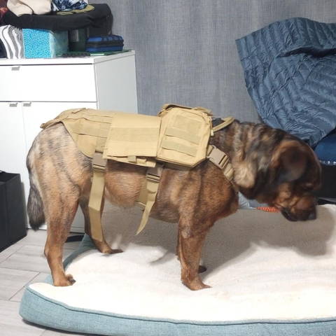 vertical shoulder holster, gun shoulder holster, tactical shoulder holster