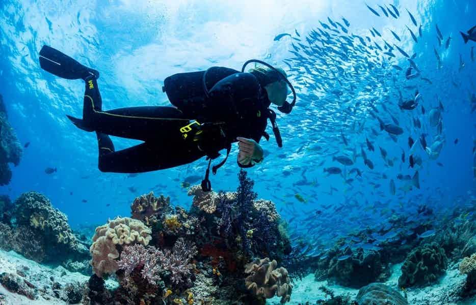 Diving in Bodrum - photo 3