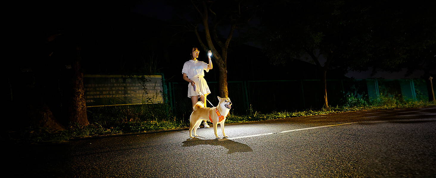 IMALENT LD70: 4000 lumens