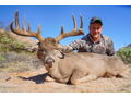 Five-Day Couse Deer Hunt in Aguascalientes, Mexico for One Hunter with Torrecillas Ranch