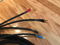 Cerious Technologies Graphene Extreme 10 Ft Cables Spad... 3