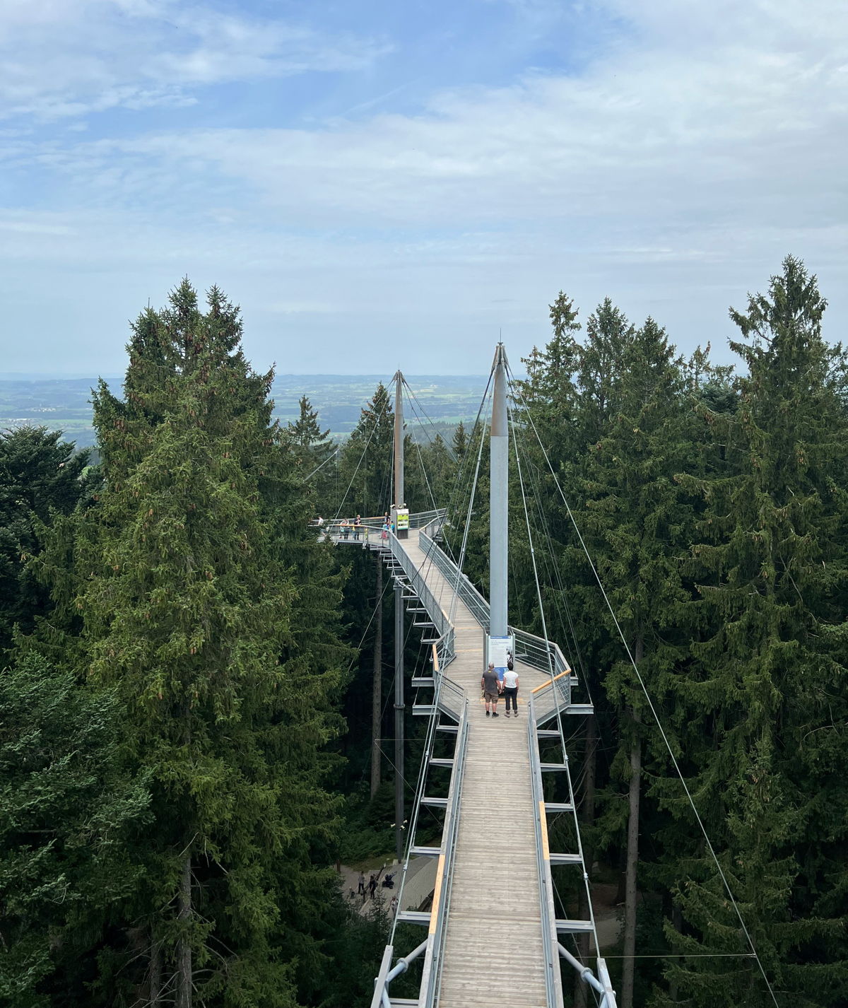 Allgäu Skywalk treetop walk
