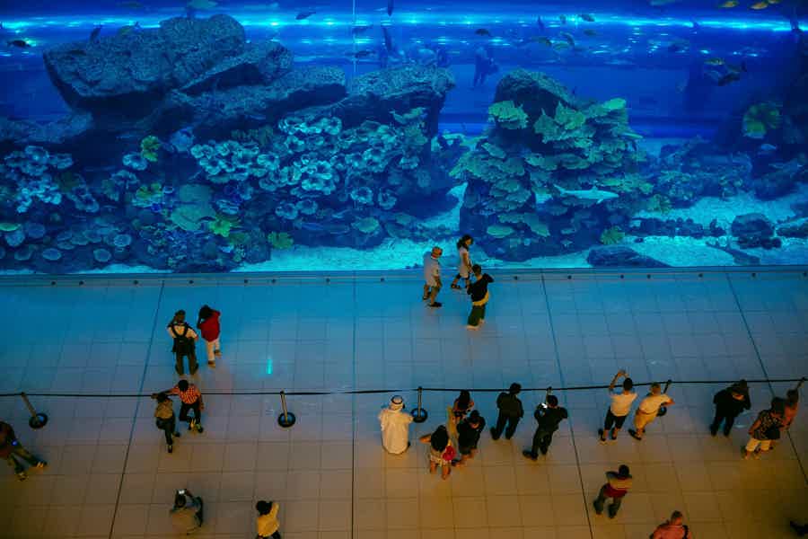 Combo Ticket: explore Burj Khalifa with Aquarium in Dubai - photo 5