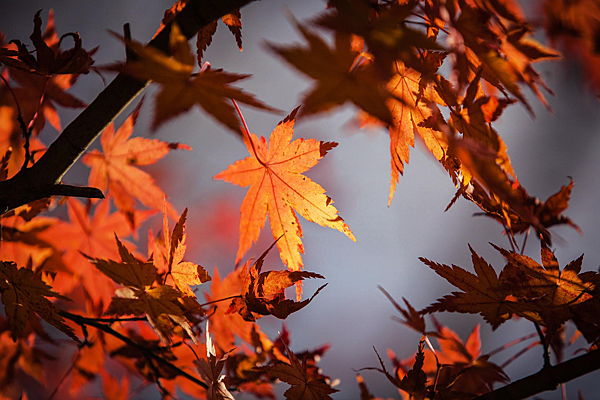  Albufeira
- Autumn.jpg