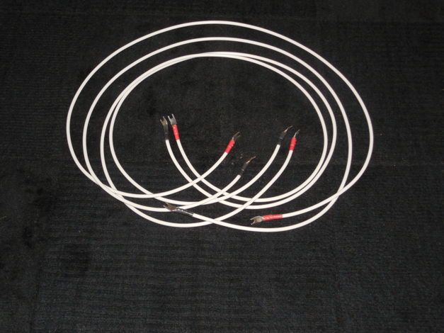 4 AWG Silver Speaker Cables  LIMITED EDITION 2 Meter S...