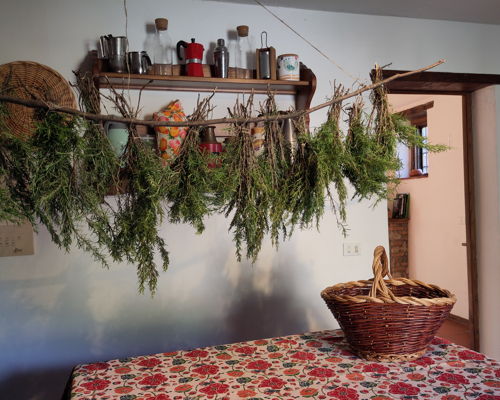 Food & Wine Tours Lucca: Mediterranean herbs from the garden to the kitchen