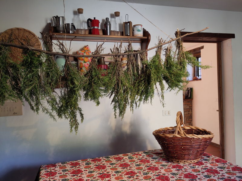 Food & Wine Tours Lucca: Mediterranean herbs: from the garden to the kitchen