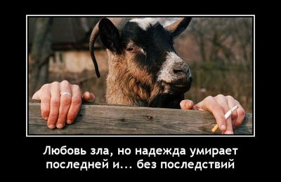 Любовь зла, но надежда умирает последней и... без последствий.