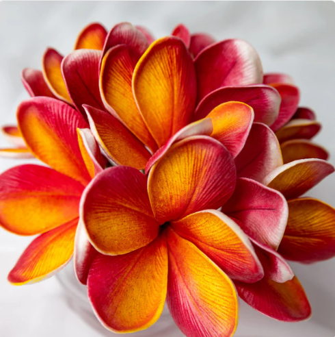 Tropical Frangipani Flowerhead (6 Pack) - Realistic Artificial Flowers - Image 8