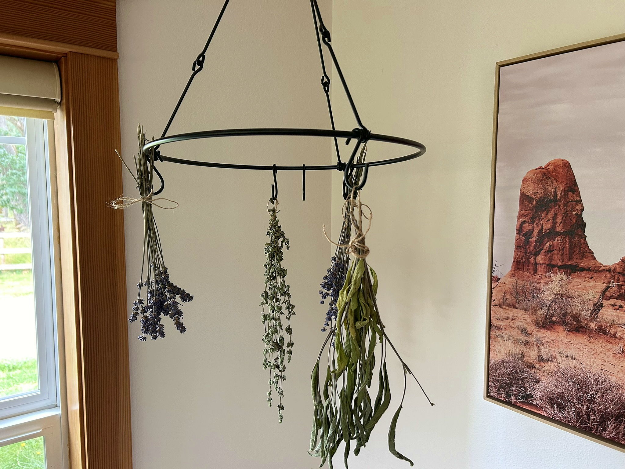 Herbs hanging from a drying rack