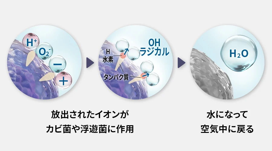 メカニズム