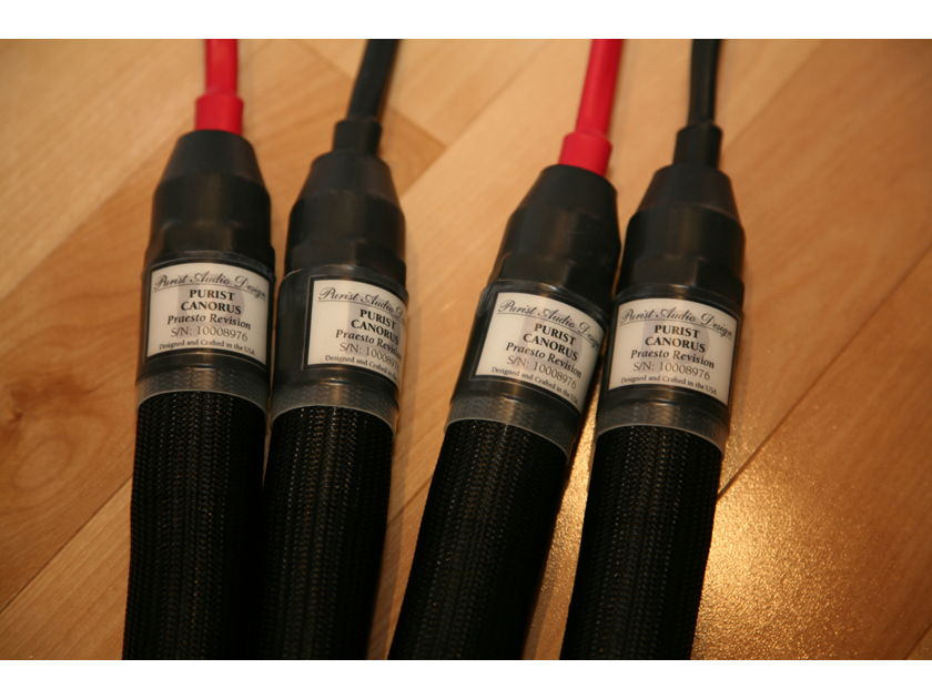 Purist Audio Designs Canorus Speaker Cable Praesto Revision 2.5M