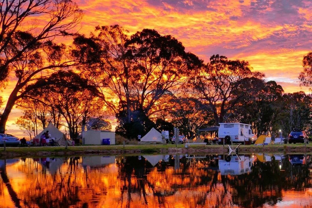 Coonawarra Bush Holiday Park