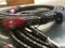 Audioquest Rockefeller 10' Pair 72V DBS Speaker Cables 3