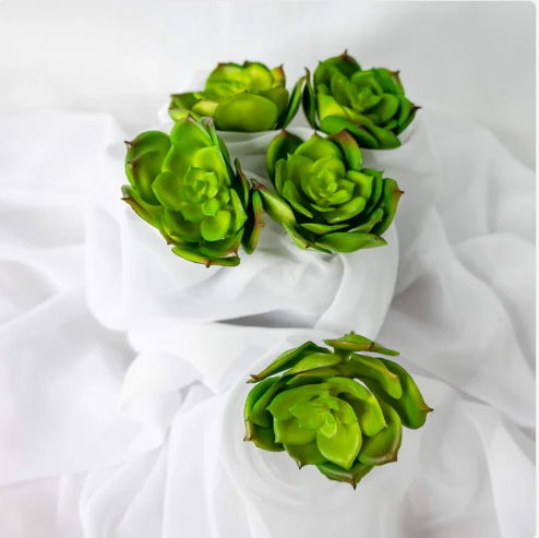 Apple Lotus Succulent (6 Pack) - Realistic Artificial Flowers and Greenery - Image 4