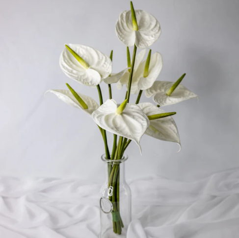 White Large Anthurium - Realistic Artificial Flowers