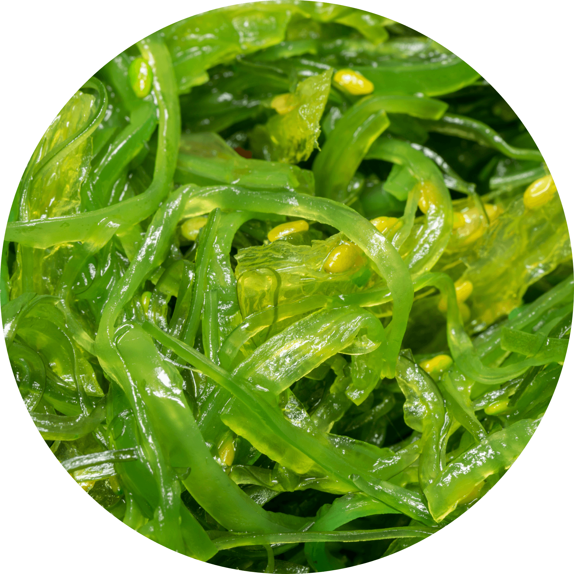 Magnesium Glycinate Singapore food sourcesMagnesium Glycinate Singapore food sources