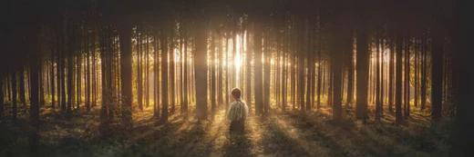 Banner image of Joseph Smith kneeling in prayer in the forest.